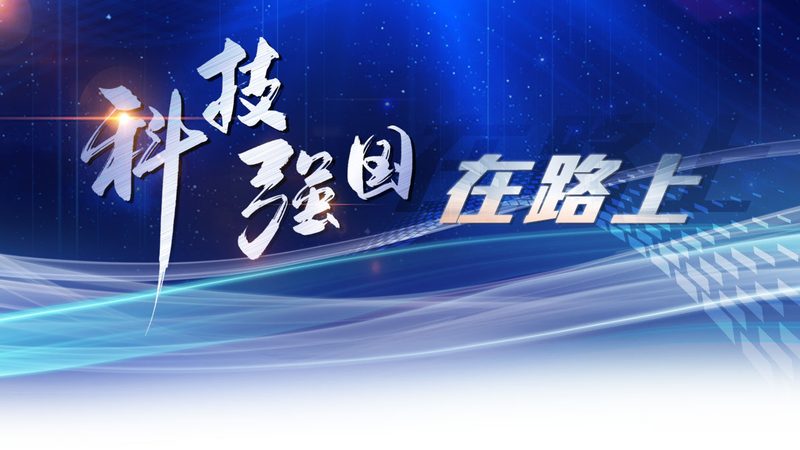 Nginx API 网关插件开发：揭秘定制化解决方案的奥秘